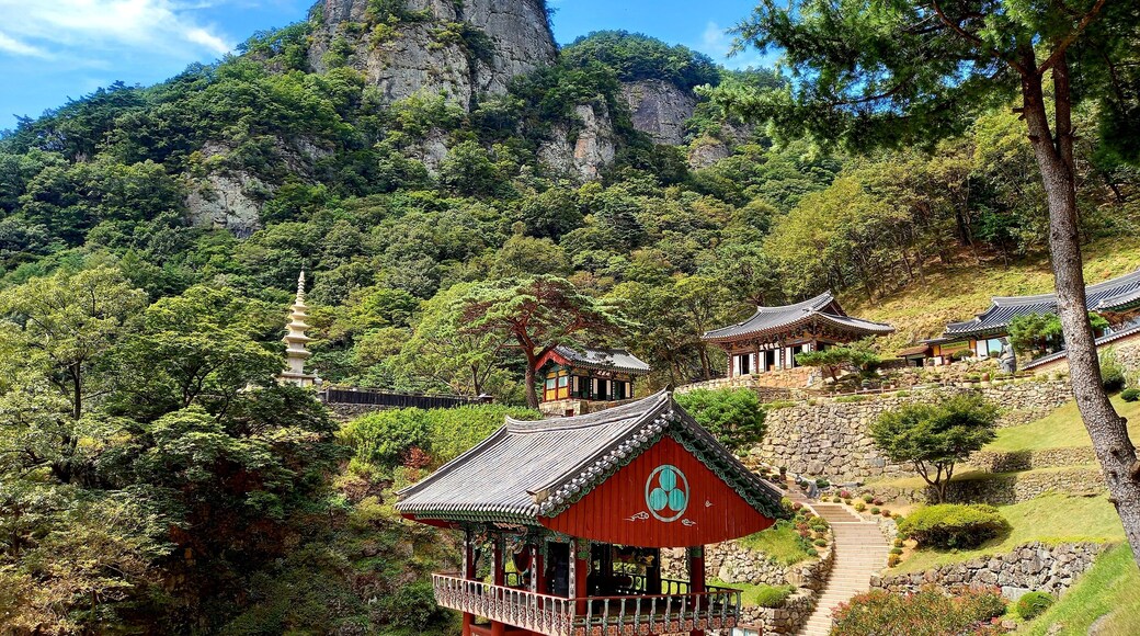 Chùa Cheongnyangsa