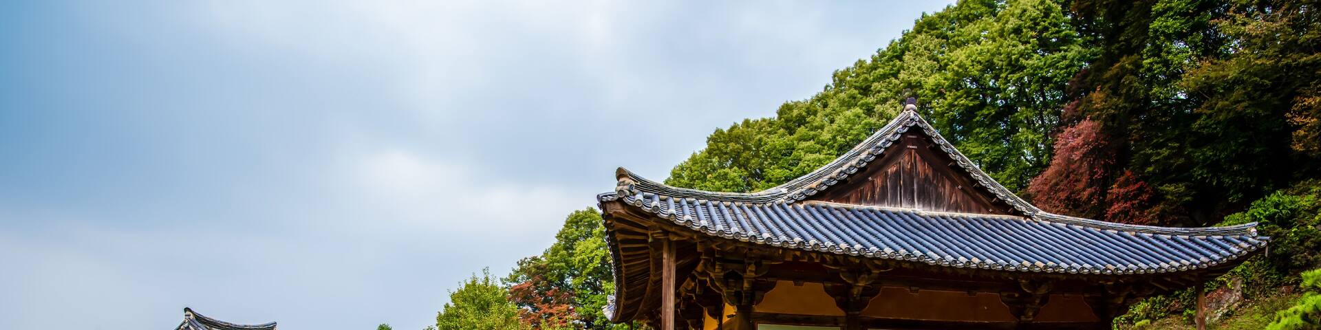 Traditional Korean architecture with curved roofs and wooden structures surrounded by lush greenery and trees.