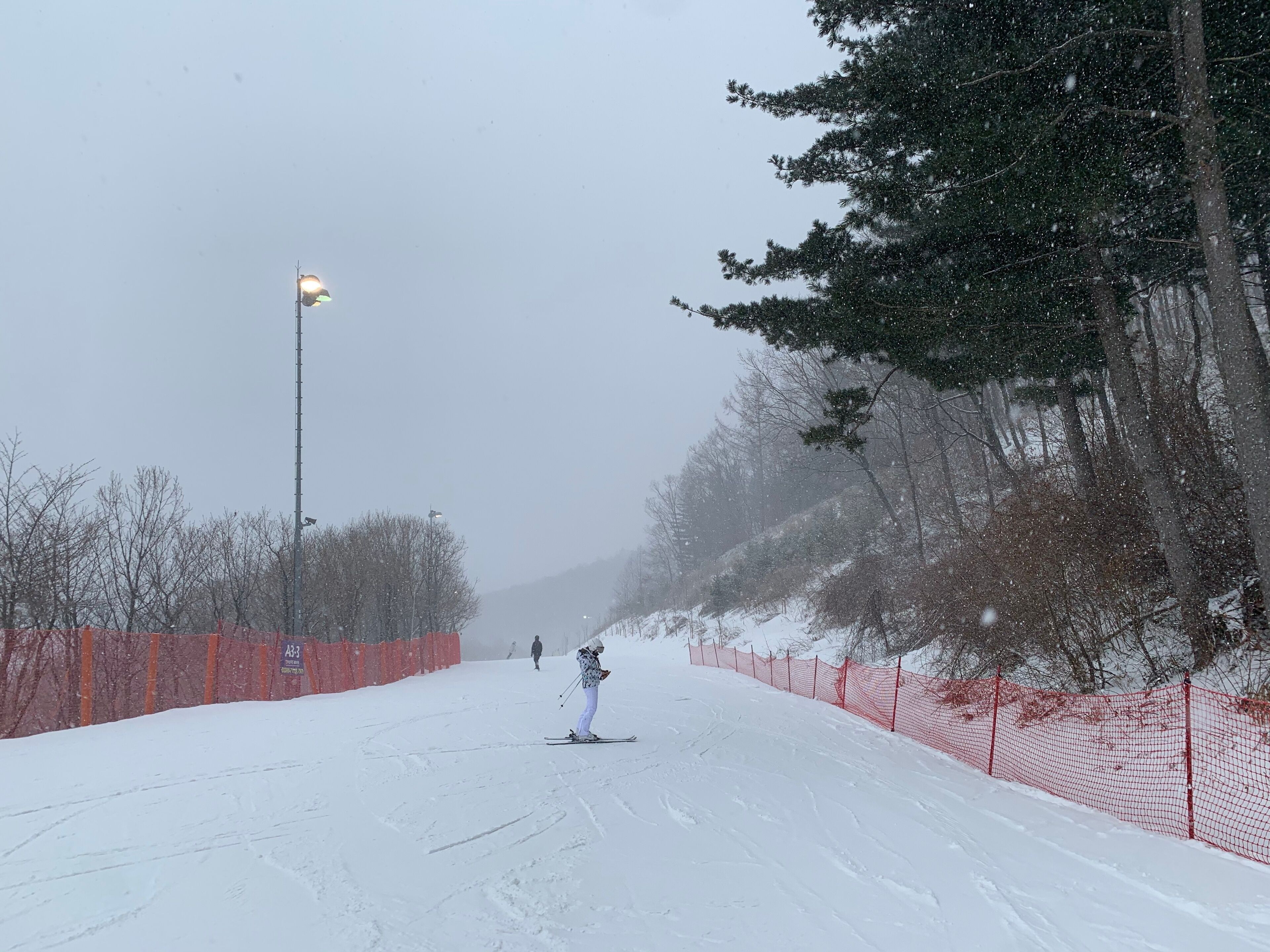 한국 강원랜드 하이원 리조트 하이원 스키장, 눈오는 날, 스키와 보드를 즐기는 사람들 / High1 Resort in Kangwon Land, Korea. High One Ski Resort. Snowy day. People who enjoy skiing and snowboarding.
