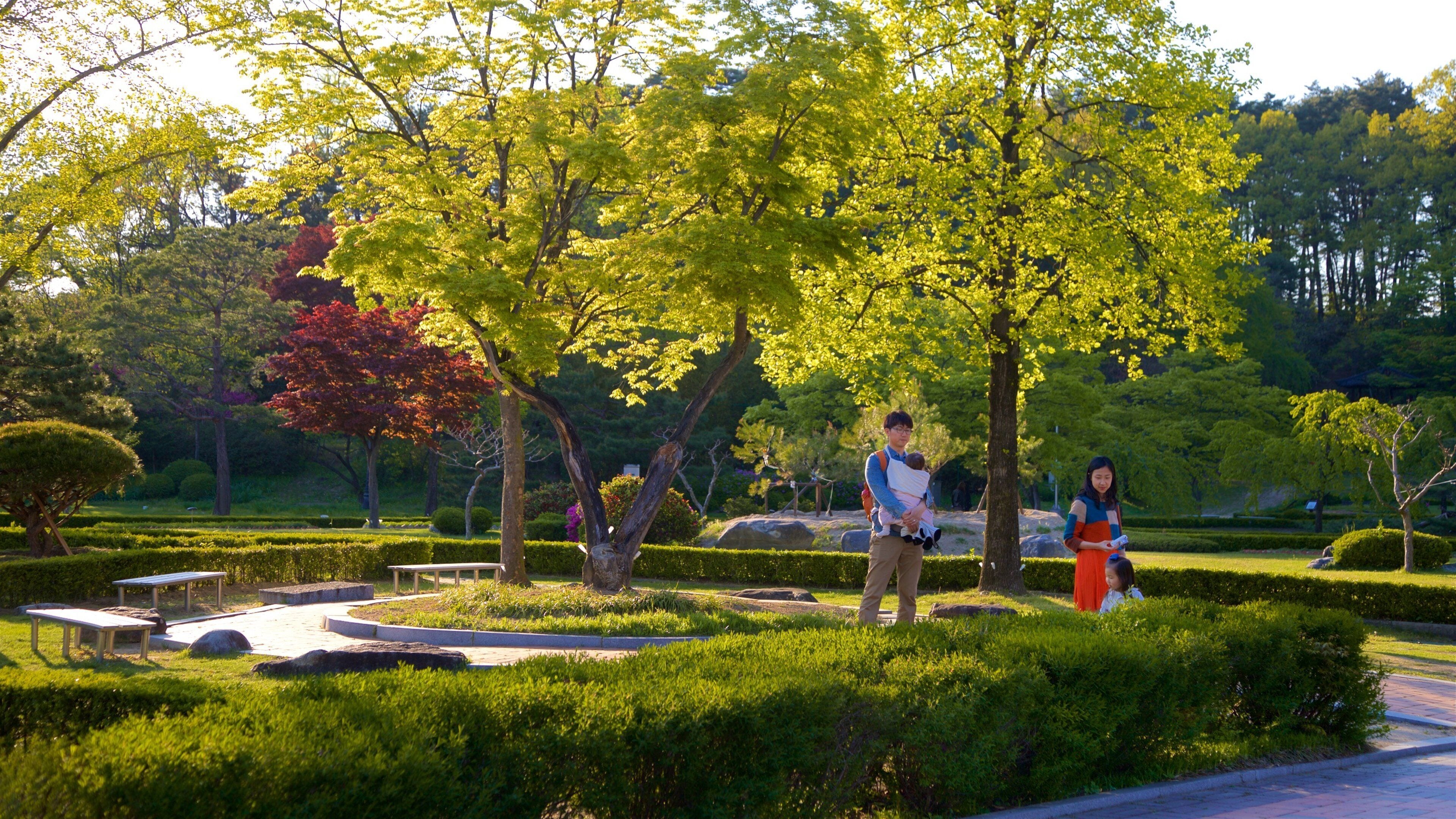 Museu Municipal de Ojukheon mostrando um pôr do sol e um jardim assim como uma família