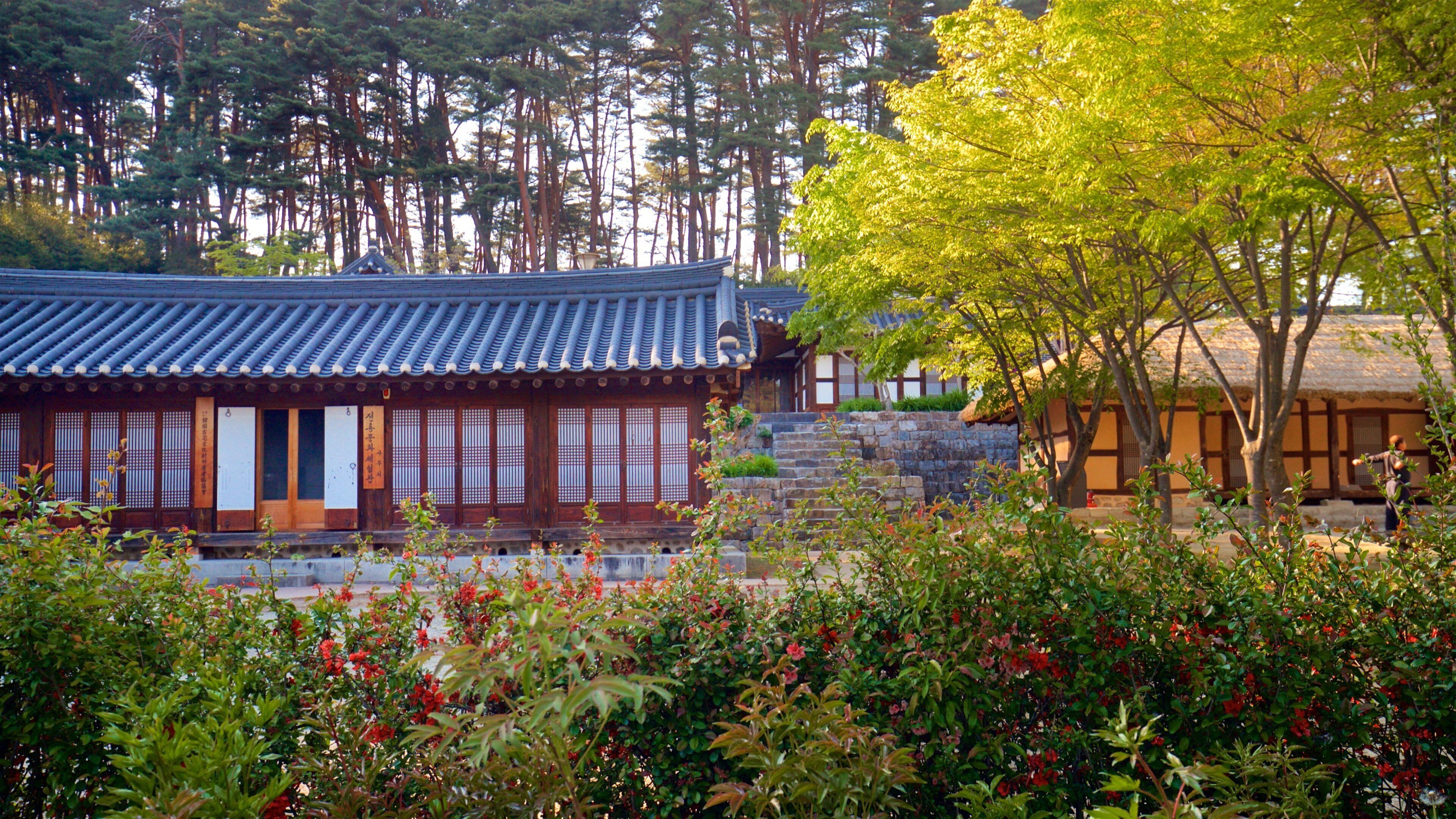 Gangneung Seongyojang House showing heritage elements and wildflowers