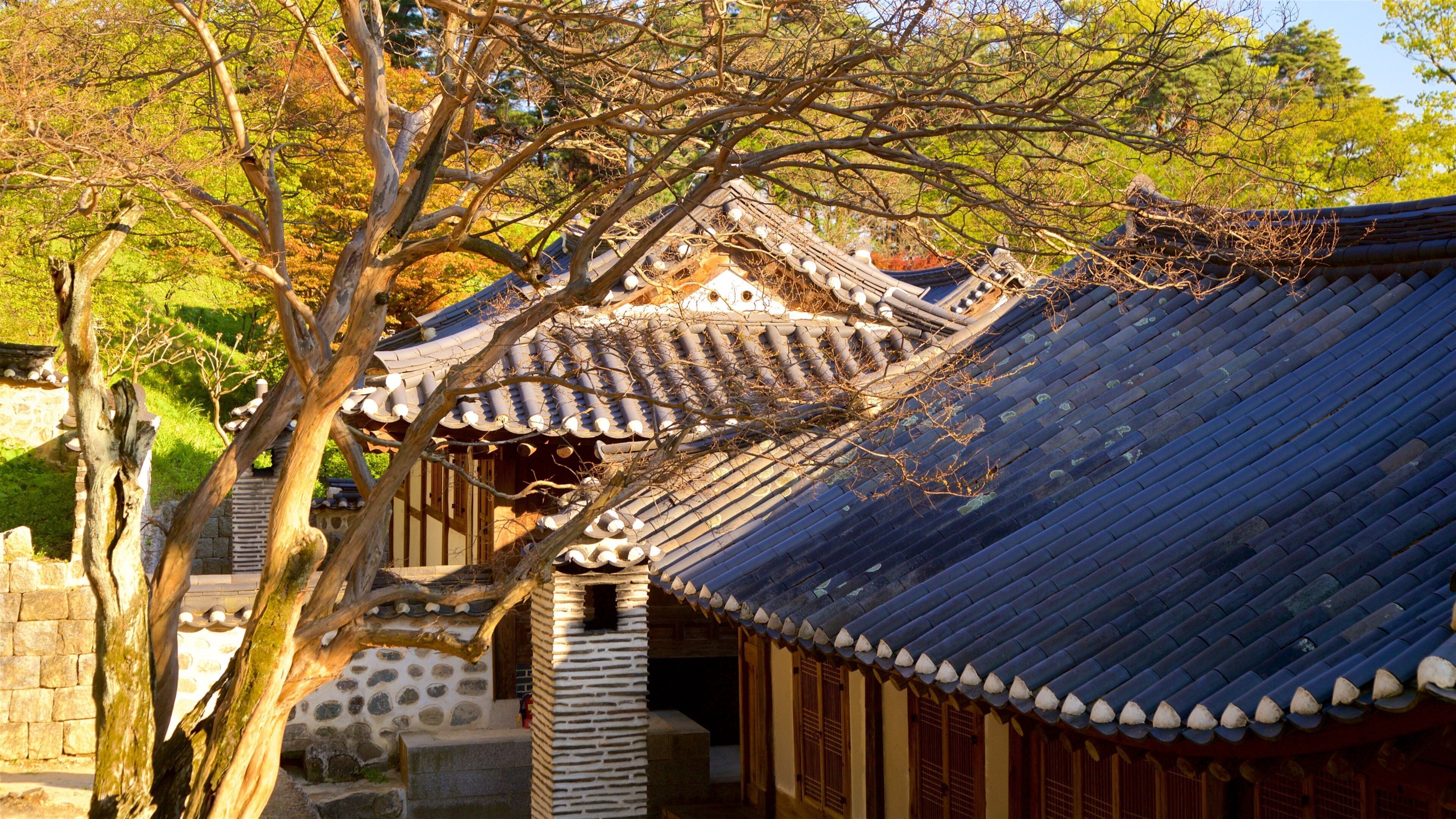 Gangneung Seongyojang House mostrando oggetti d\'epoca