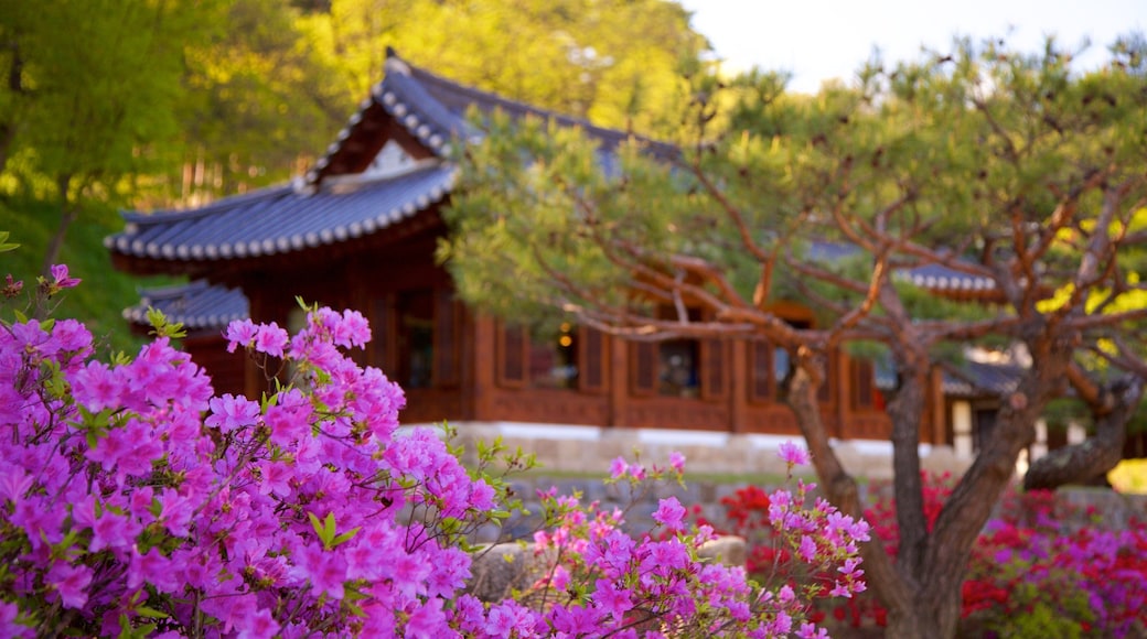 Gangneung Seongyojang House featuring heritage elements and wildflowers