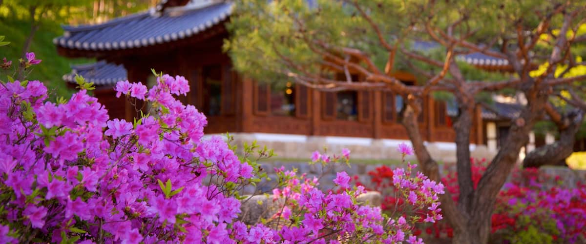 Gangneung Hotel Guide