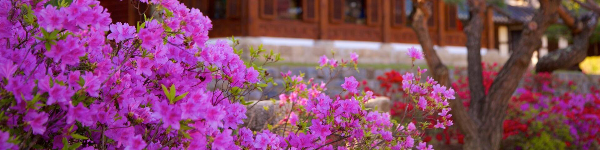 Gangneung Hotel Guide