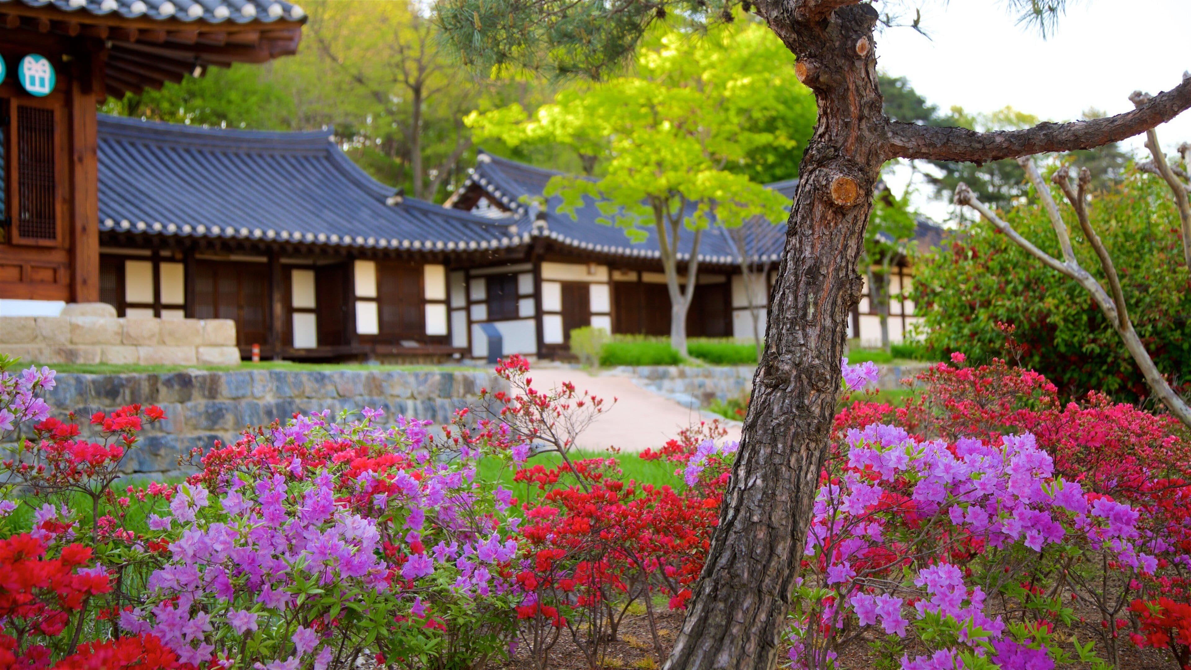 Gangneung Seongyojang hus