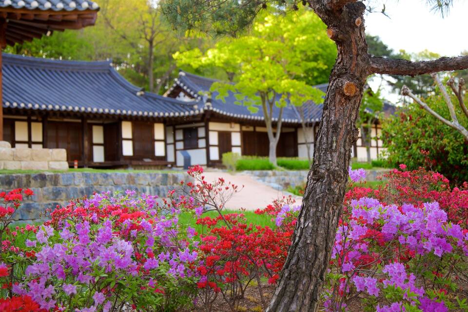 En traditionell koreansk byggnad med ett tak täckt av tegelpannor, omgiven av färgstarka azaleor.