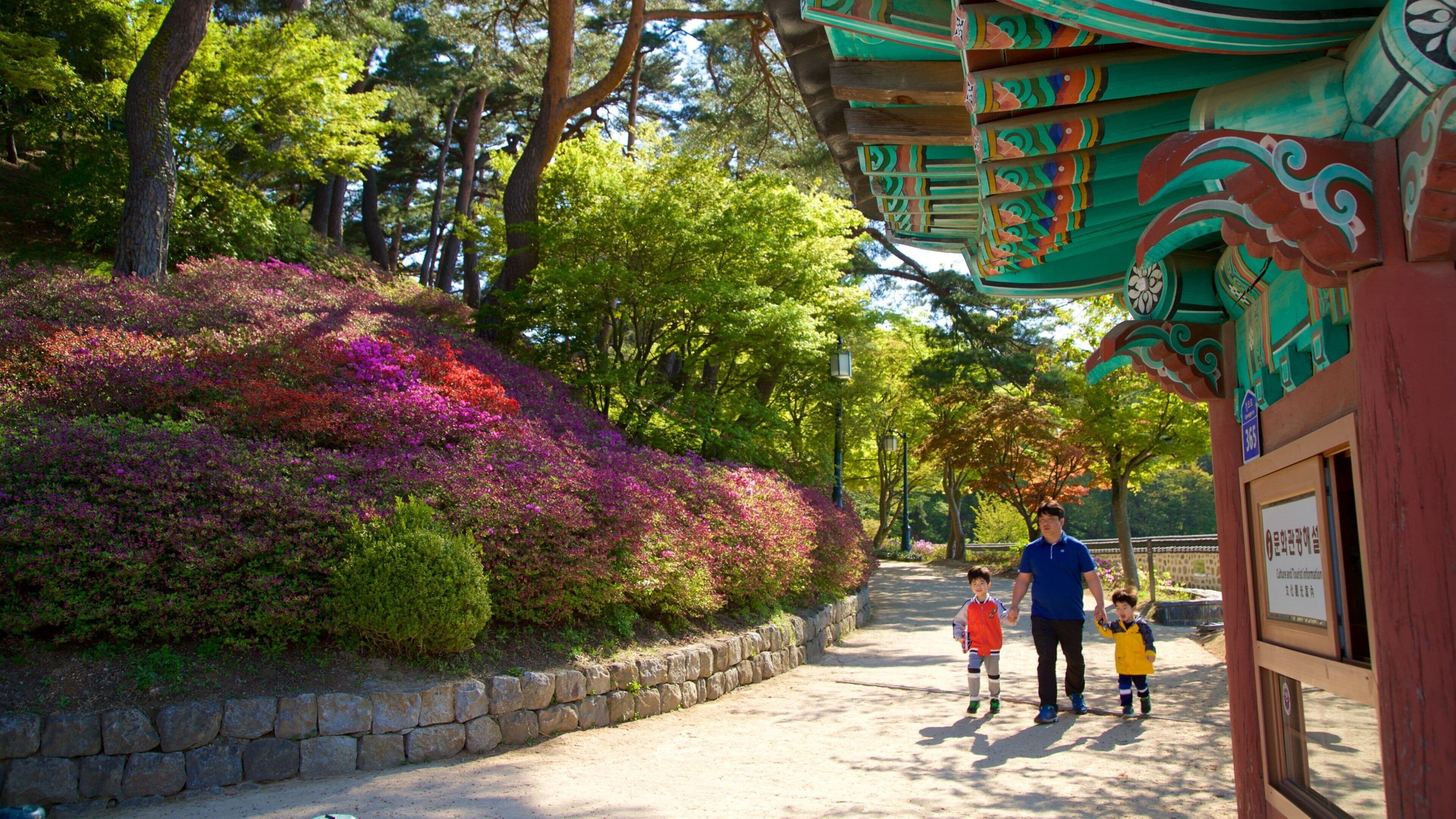 Gyeongpodae featuring heritage elements and wildflowers as well as a family