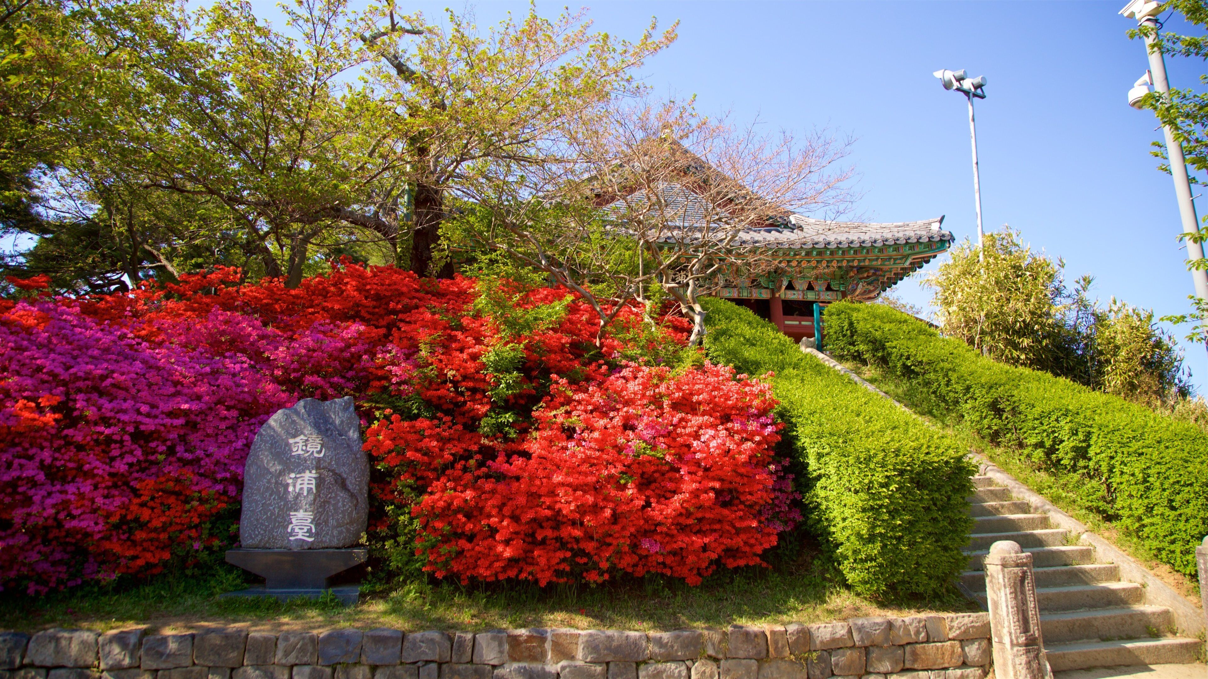 鏡浦台 フィーチャー 野花, 公園 と 遺跡・遺産