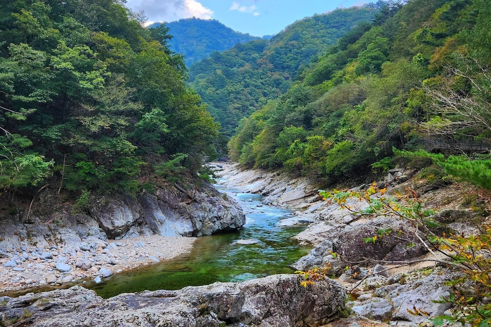 A river flowing through a mountainous landscape with dense green foliage and rocky terrain.