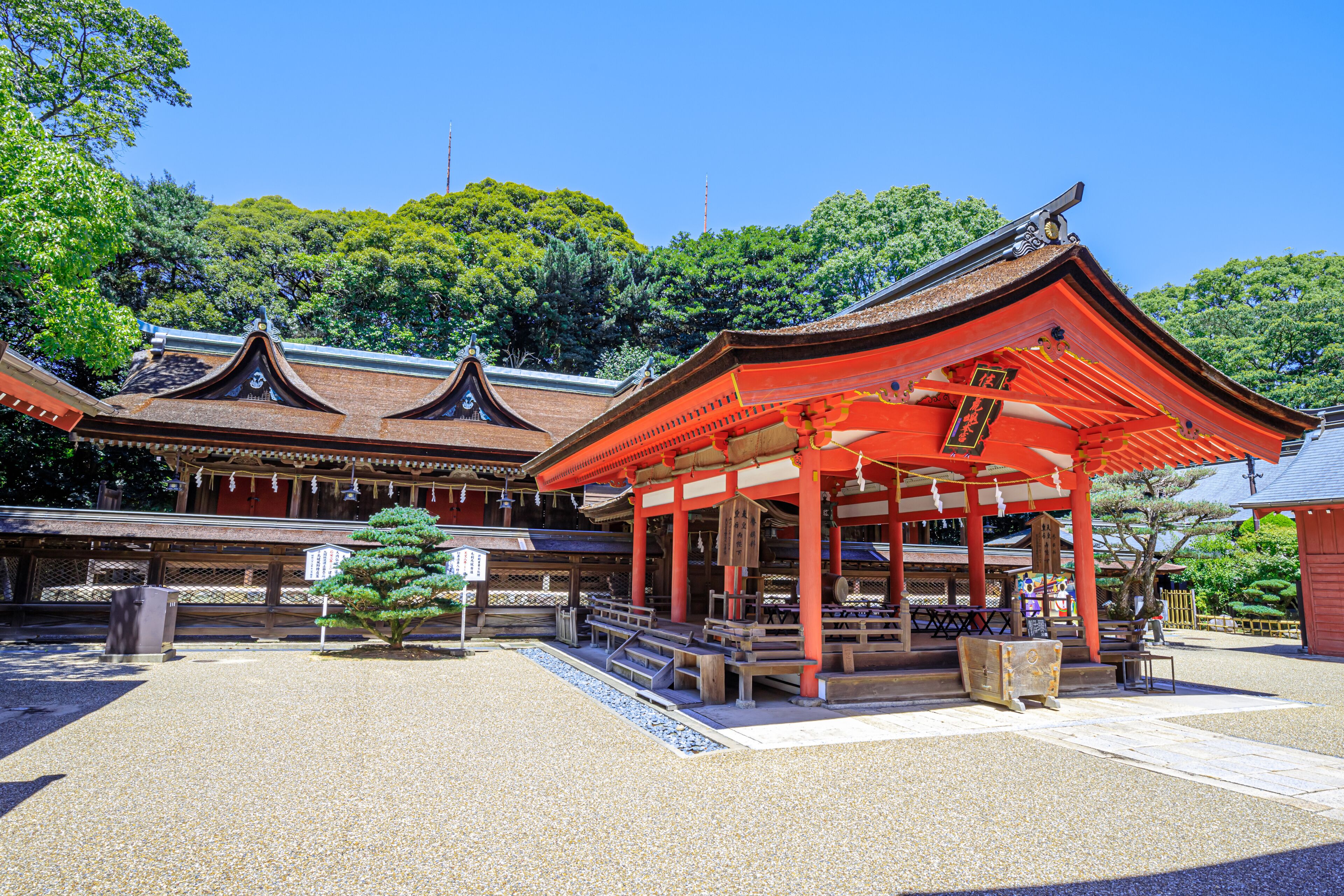 夏の住吉神社　山口県下関市　Sumiyoshi shrine in summer Yamaguchi-ken Shimonoseki city