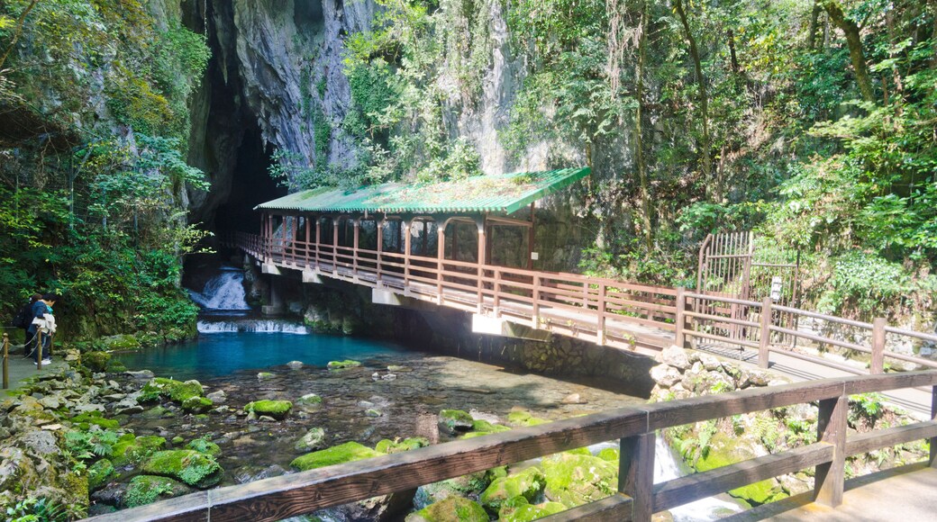 Akiyoshido Cave is located in the eastern area of Mine city, Yamaguchi Prefecture, 100-200m under Akiyoshidai, is Japan's largest limestone cave.