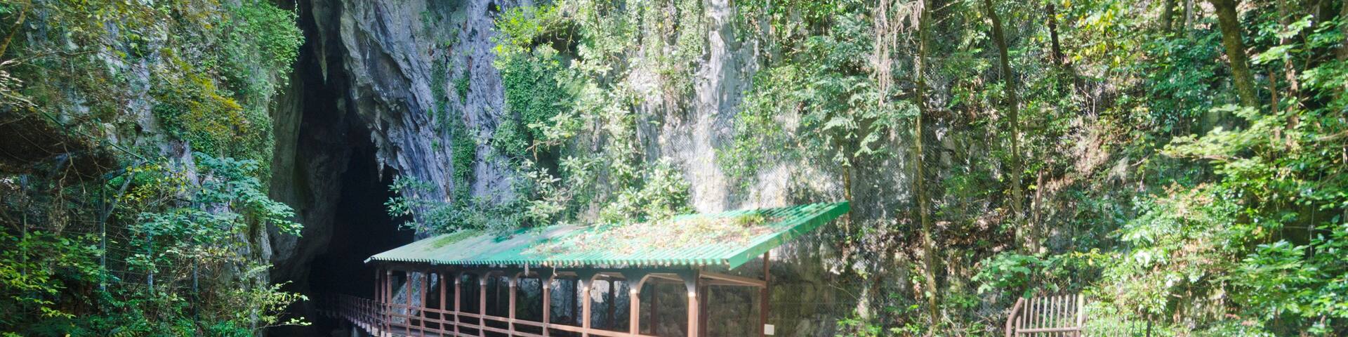 Akiyoshido Cave is located in the eastern area of Mine city, Yamaguchi Prefecture, 100-200m under Akiyoshidai, is Japan's largest limestone cave.