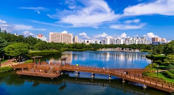 Overhead, southern view of Ilsan Lake in Goyang, South Korea.