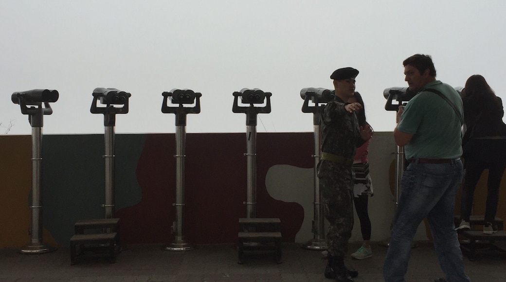 Please do not take photos forward!!