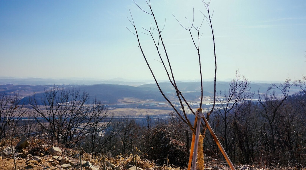 Outside the viewing deck of the korean dimilitarized zone one winter noon. This view is eerily calm.