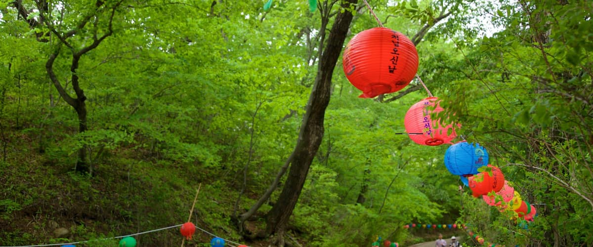 Girimsa Temple which includes forest scenes and a garden
