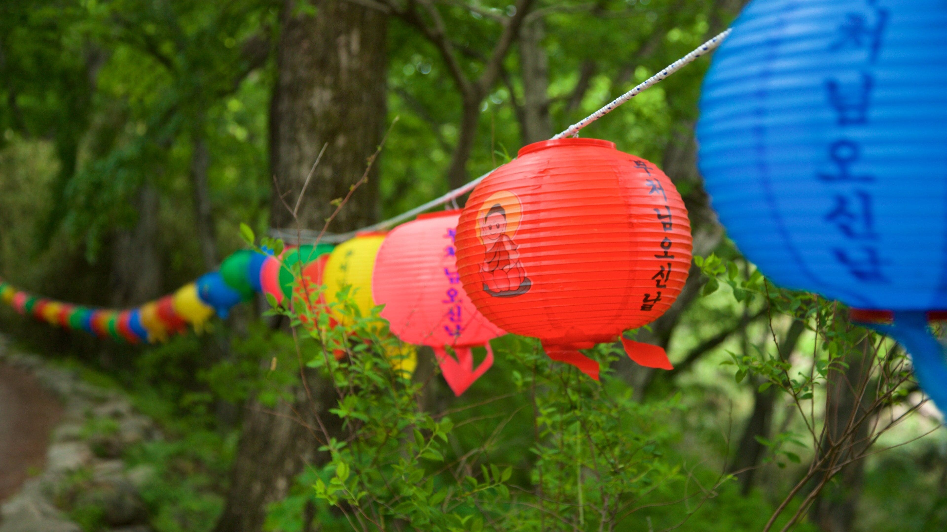 Girimsa Temple which includes forest scenes and a park