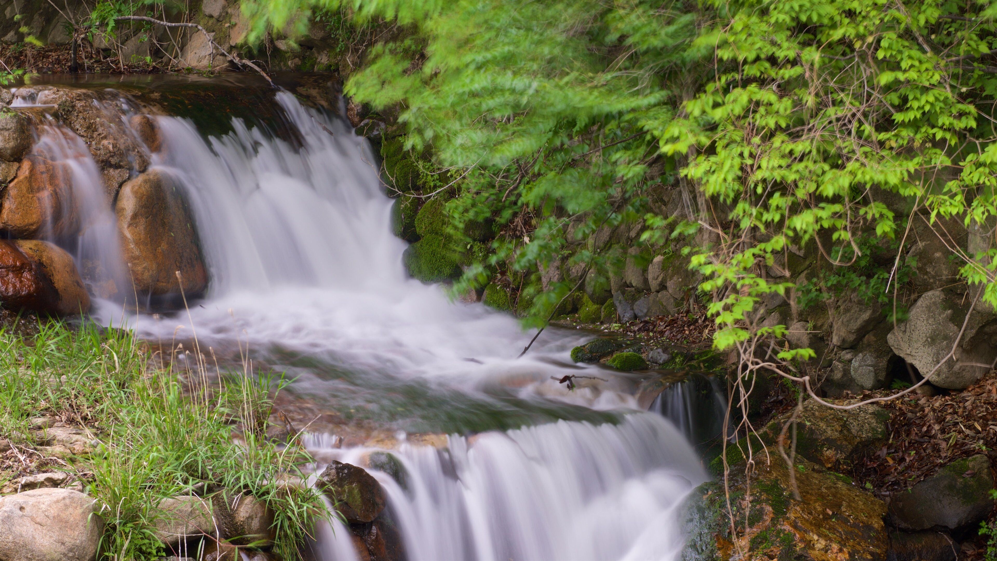 Girimsa Temple showing a river or creek