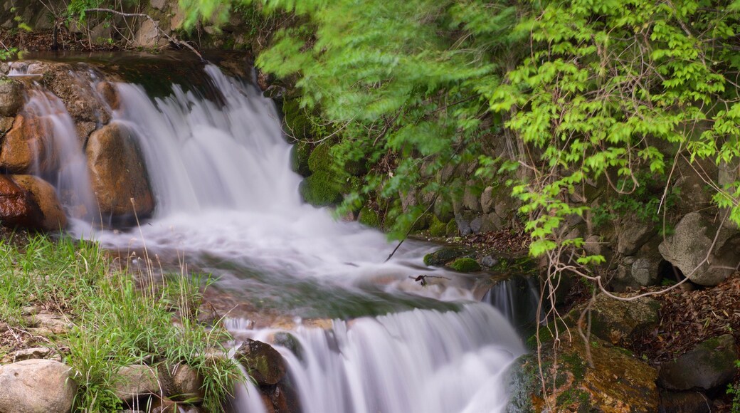 Girimsa Temple showing a river or creek