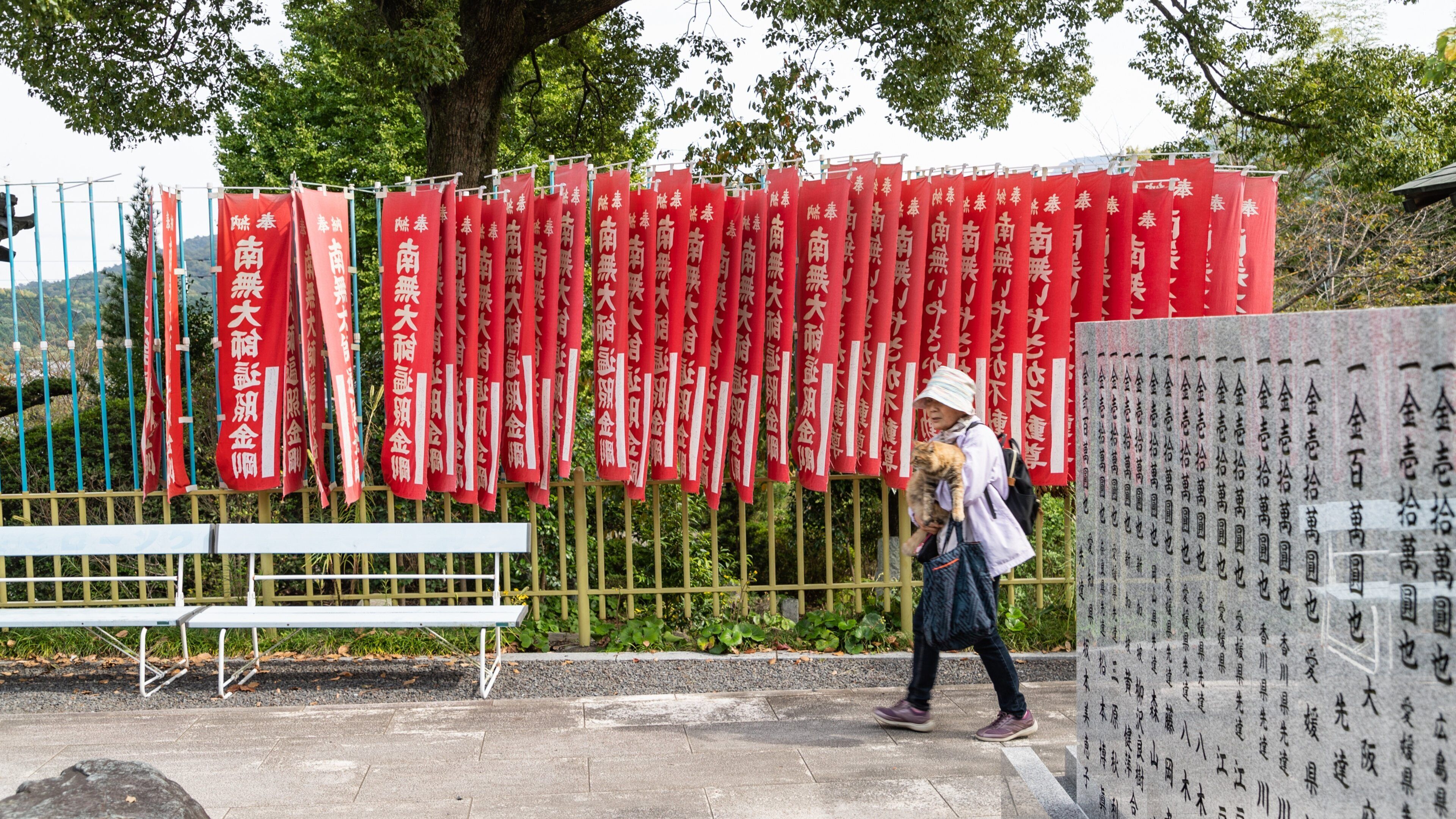 Yasaka Temple featuring signage as well as an individual femail