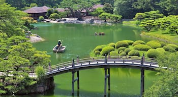 A view from a hill in Ritsurin Garden in Takamatsu city, Kagawa Prefecture, Japan. Ritsurin Garden is one of the most famous historical gardens in Japan.