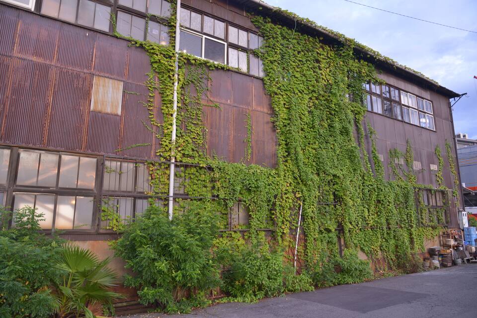 A building with a corrugated metal exterior covered in green ivy.