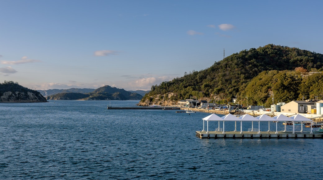 Ferry Approaching Naoshima Island during Tranquil Evening Light, Setouchi, Japan