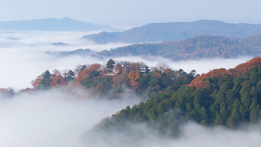 雲海と紅葉が美しい天空の城 備中松山城