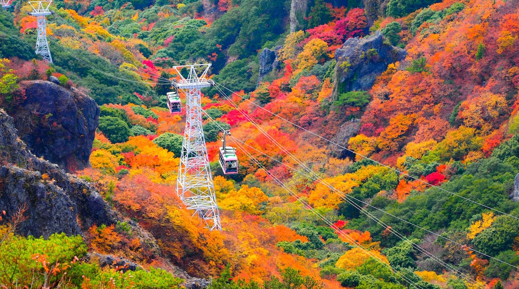 寒霞渓ロープウェイ