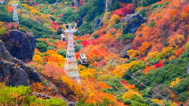 寒霞渓ロープウェイ