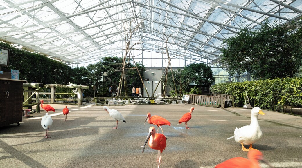 Parque Vogel de Matsue