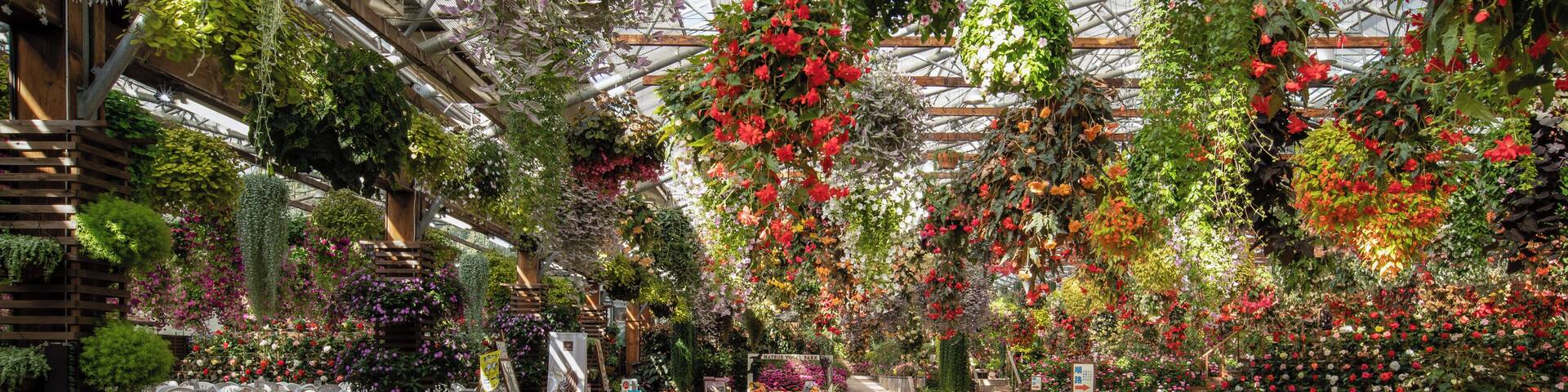 Matsue_Matsue Vogel Park_553248621532770416_5