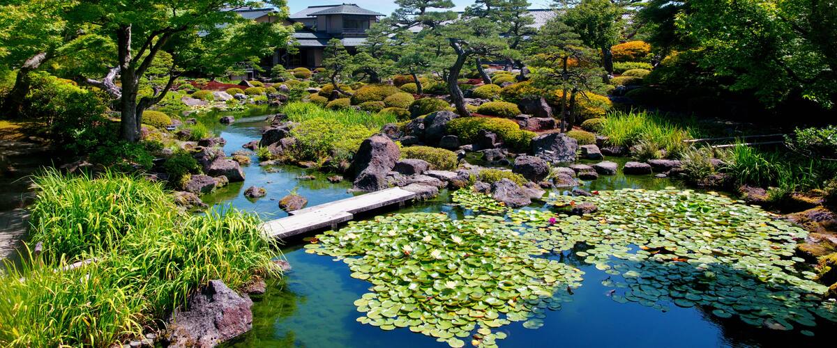 A serene garden with a pond, rocks, and traditional Japanese architecture in the background.