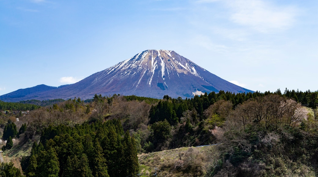 大山(だいせん)