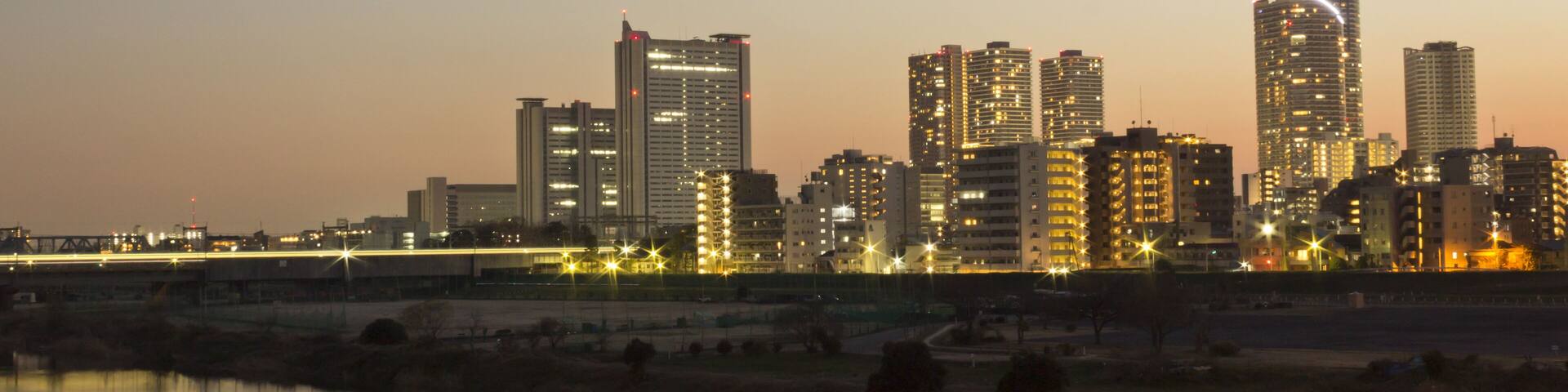 Musashi-kosugi area along Tama River