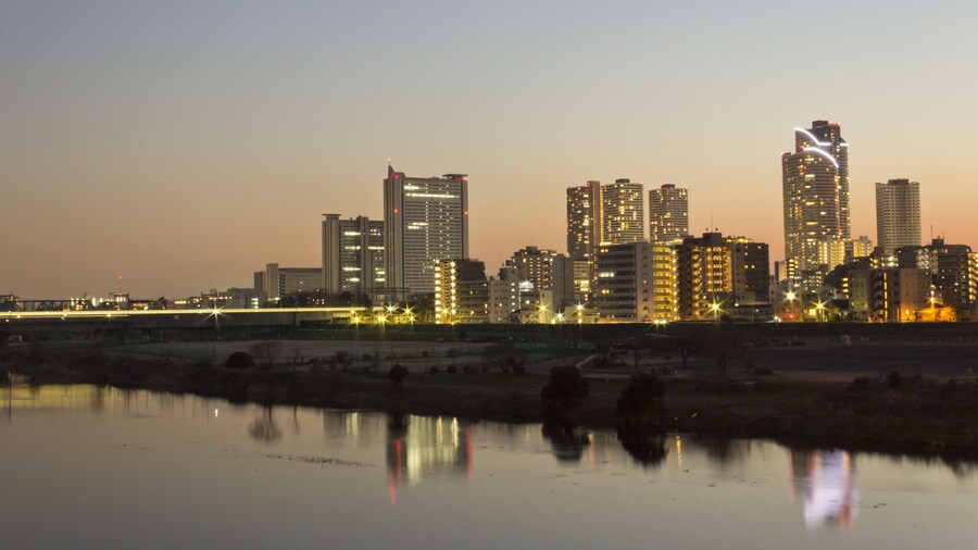 Musashi-kosugi area along Tama River