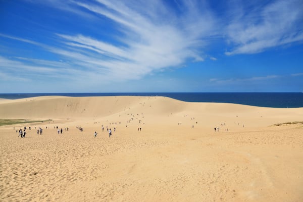 Un extenso paisaje desértico con dunas de arena y un cielo azul despejado.