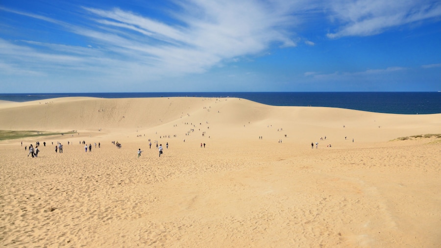 Dunes de sorra de Tottori