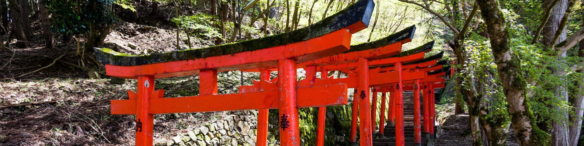 A traditional Japanese torii gate with red pillars and a stone pathway leading up to it.