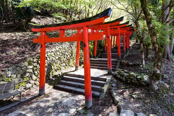 Un portail torii japonais traditionnel, avec des piliers rouges et un chemin de pierre menant à sa base.