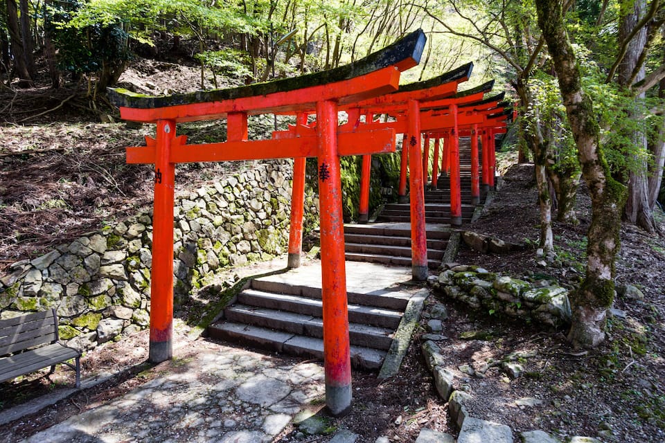 Perinteinen japanilainen torii-portti, jossa on punaiset pylväät ja kivestä tehty polku, joka johtaa portille.