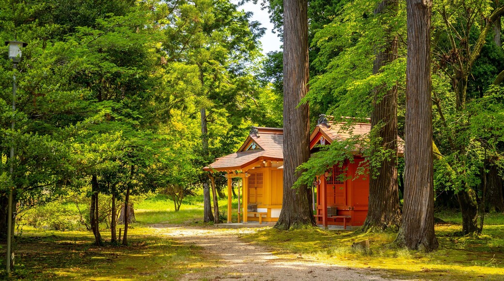 Izushi Shrine featuring a park
