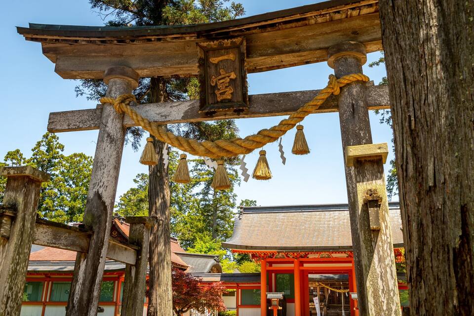 Um tradicional portão torii japonês, com pilares de madeira e cordas.