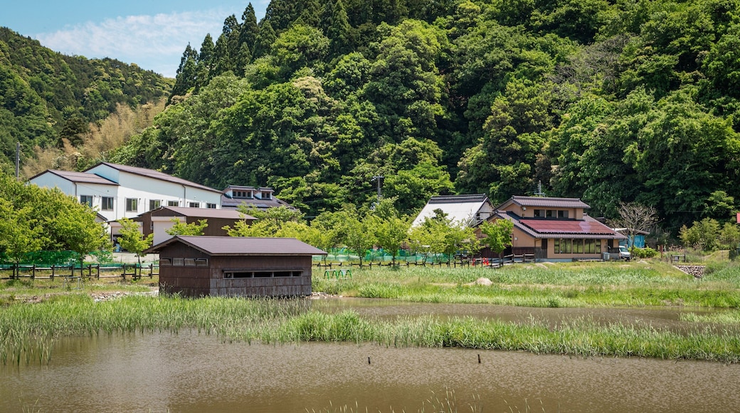 Hachigoro\'s Tojima Wetland