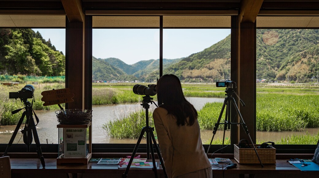 Hachigoro\'s Tojima Wetland