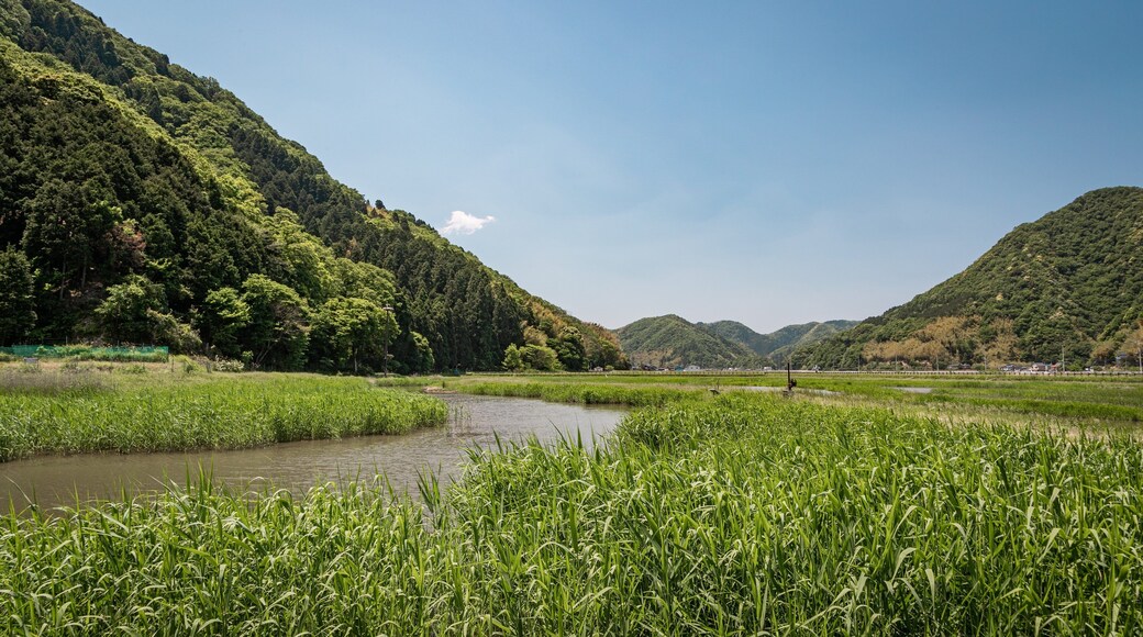Hachigoro\'s Tojima Wetland showing tranquil scenes and a river or creek
