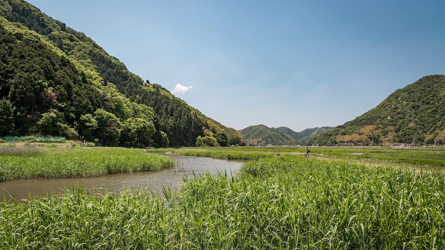 Hachigoro\'s Tojima Wetland showing tranquil scenes and a river or creek