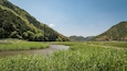 Hachigoro\'s Tojima Wetland showing tranquil scenes and a river or creek