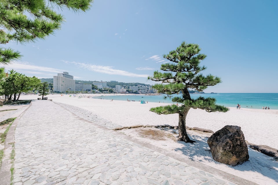 Un camí empedrat que condueix a una platja amb un pi i una roca gran.